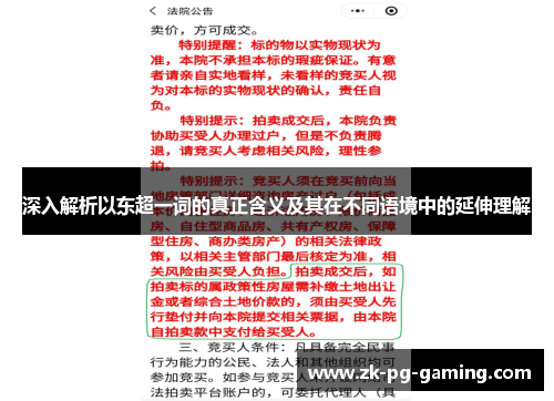 深入解析以东超一词的真正含义及其在不同语境中的延伸理解 深入解析以东超一词的真正含义及其在不同语境中的延伸理解