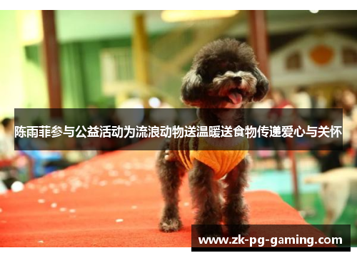 陈雨菲参与公益活动为流浪动物送温暖送食物传递爱心与关怀