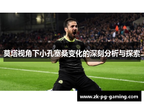 莫塔视角下小孔塞桑变化的深刻分析与探索