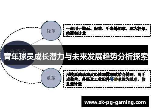 青年球员成长潜力与未来发展趋势分析探索